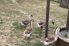 photo_1-2