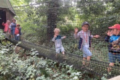 photo_1-4