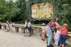photo_1-6