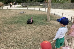 photo_2-1