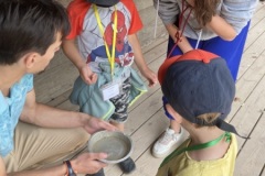 photo_2-5
