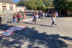 IMG_7715 IMG_7715